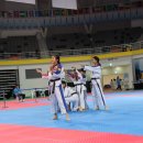 보성태권도장 이미지