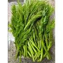 새순농장 이미지