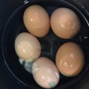 홍냉면 - 창원시 진해구 중초로 15-1 | 류수영 하이면 홍 비빔냉면 물냉면 후기
