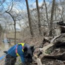 빛가온동물병원 이미지