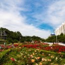 풍암호수공원 이미지