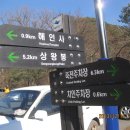 돼지골 이미지