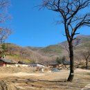 영천 영지사 명부전 석조지장시왕상 일괄 | 영천 영지사(靈芝寺)