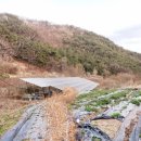 풍암국민체육센터 이미지