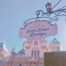 디어엔젤 이미지