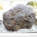 대강면 석촌마을 | 四字成語 총정리 <ㅅ> 376 석척건건~석탄광업