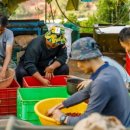 구름밭농장 이미지