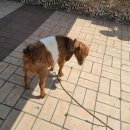 푸른자연유치원 이미지