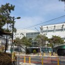 강서구민올림픽  체육센터 | 강서구민올림픽체육센터 자유수영 후기