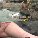 팔도미가