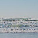 영어회화 | 일대일 영어회화 비용 아꼈던 후기