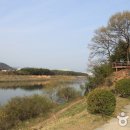 태화강 대공원 Daum카페