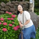 남원읍-101 이미지