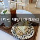 [아산 배방] “마리모리” 조용하고 아늑한 케이크 맛집 디저트 카페 추천