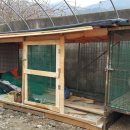 병동농장 이미지