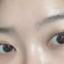 혀니래쉬