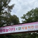 개떼놀이터 남양주 [애견운동장 강아지놀이터 펫 반려견] 이미지