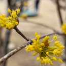 안전한사람들(SAFE PEOPLE) 이미지