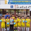 2015 축구꿈나무 대잔치 덕양구청장배 전국유소년 축구대회 우승(3학년) 이미지