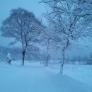 백담알프스펜션 이미지