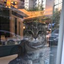 신당 좋아요 동물병원 이미지