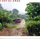 길정해농장 Daum카페