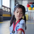 정음태권도 이미지