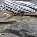 웅골협동조합 이미지