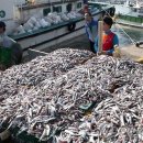 기선권현망수산업협동조합(멸치권현망수협) 이미지