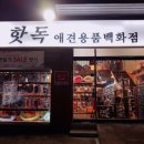 핫독애견백화점 이미지