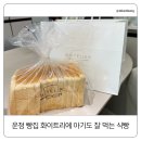 주정차16 | 운정 빵집 화이트리에 후기｜아기도 잘 먹는 풀사이즈 생식빵