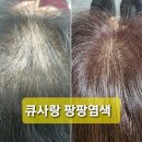 큐사랑우아동