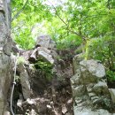 오도산 자연휴양림 이미지