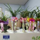 거성자동차정비 이미지