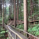 청태산자연휴양림 이미지