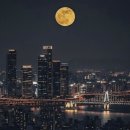 애수의 소야곡 이미지