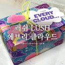 러쉬(LUSH) | 러쉬 LUSH 에브리 클라우드 사용후기