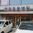 연희동물병원 이미지