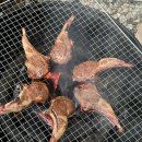 가평 애견동반 펜션 스테이무 203호 복층 독채 후기｜감성 숙소에서 반려견과 힐링 여행