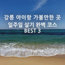 길식농장 | [강릉 아이와 가볼만한곳] 리브애니웨어 숙소 200% 즐기기 &amp; 대관령 아기동물농장, 오죽헌 체험 코스