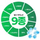 단백질파우더 추천ㅣ게이너마트 에이스 프로틴 쉐이크(초코맛) 단백질 보충하기