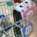 오수관촌농협하나로마트 이미지