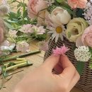 라무르플레르 이미지