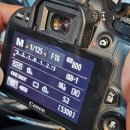 연세우일치과병원 이미지