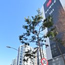 가련산로 이미지