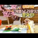 개뜰날 라운지 네이버블로그