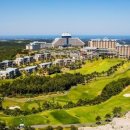 소노캄 델피노C 이미지