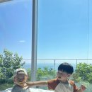 헤이메르마린뷰