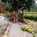 그늘막37 이미지