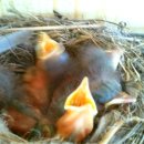 둥지농원 이미지